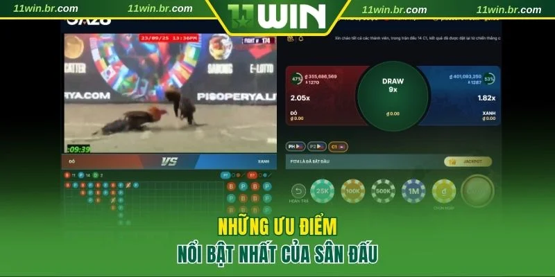4 ưu điểm nổi bật giúp đá gà 11WIN thu hút đông đảo người chơi