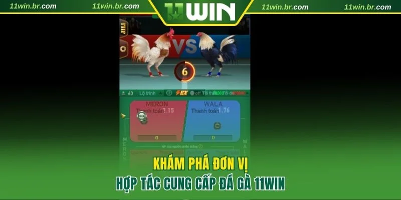 4 nhà cung cấp sảnh đá gà uy tín tại 11WIN