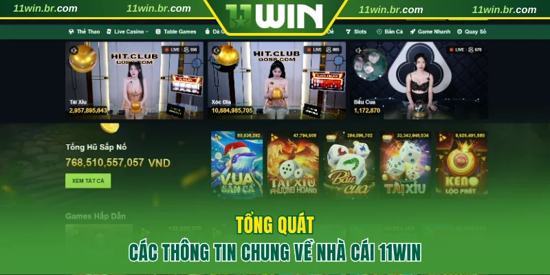Đánh Giá 11win Nền Tảng Giải Trí Đang Gây Sốt Hiện Nay 2 Tổng quát các thông tin chung về nhà cái 11WIN