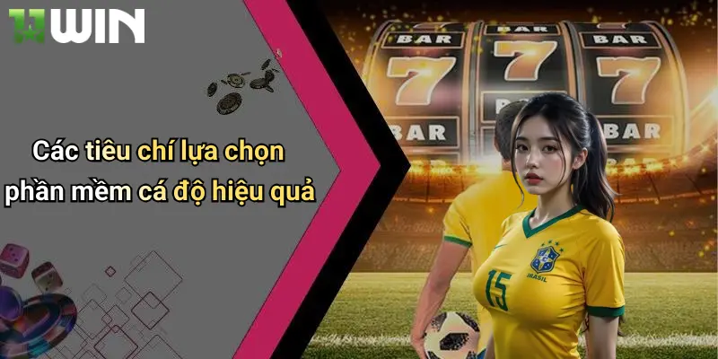 Phần Mềm Cá Độ Bóng Đá: Chìa Khóa Giải Trí Đỉnh Cao Trực Tuyến 3 Các tiêu chí lựa chọn phần mềm cá độ hiệu quả